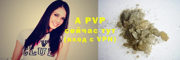 apvp Горнозаводск